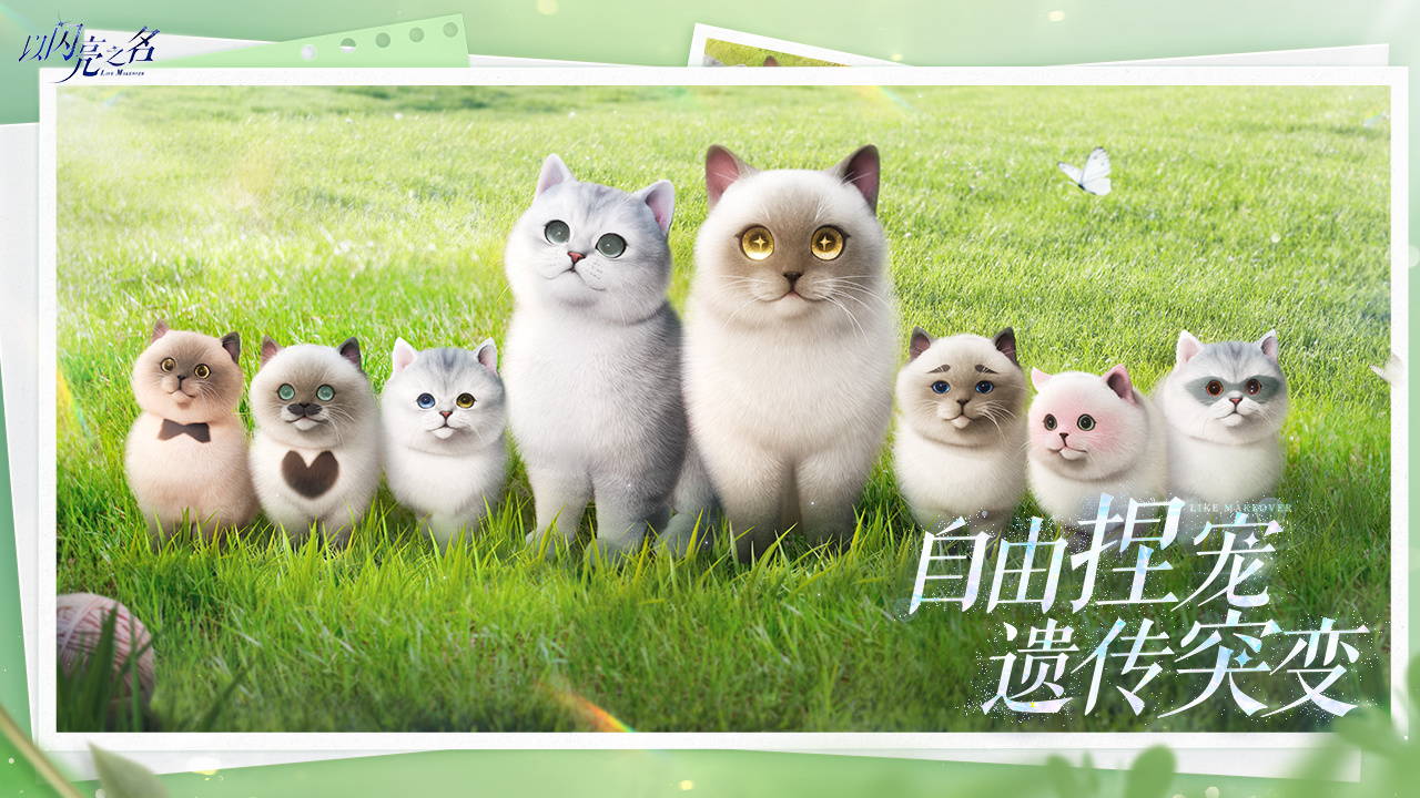 以闪亮之名 截图 5
